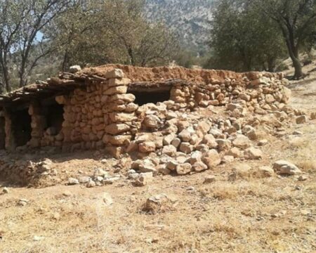 img 26092025 203021 (720 x 576 pixel)