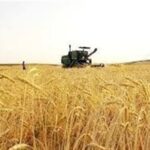 img 08102025 185407 (720 x 576 pixel)