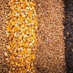 img 13102025 195645 (720 x 576 pixel)