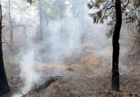 1404090209081510334791784