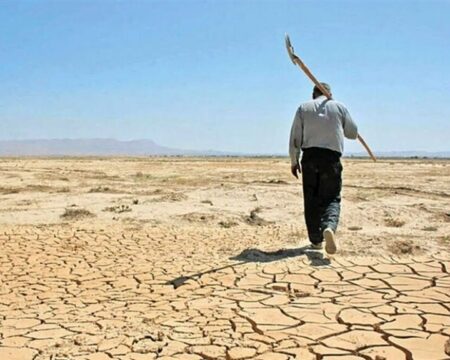 img 04112025 170756 (720 x 576 pixel)