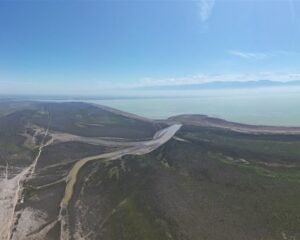 img 10112025 153605 (720 x 576 pixel)