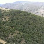 img 16112025 181228 (720 x 576 pixel)