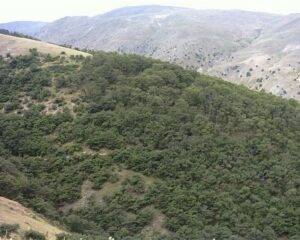 img 16112025 181228 (720 x 576 pixel)