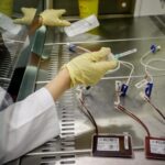 img 17112025 161600 (720 x 576 pixel)