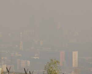 img 23112025 190516 (720 x 576 pixel)