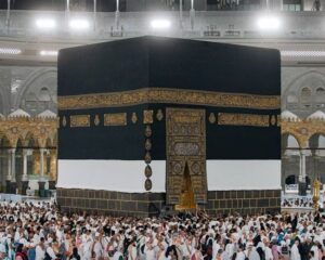 img 27112025 153117 (720 x 576 pixel)