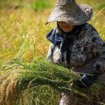 img 29112025 202520 (720 x 576 pixel)