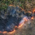 img 01122025 154109 (720 x 576 pixel)