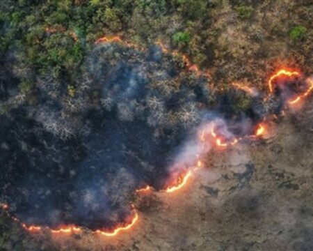 img 01122025 154109 (720 x 576 pixel)