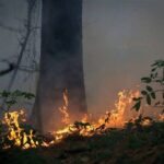 img 05122025 152106 (720 x 576 pixel)