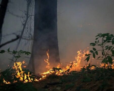 img 05122025 152106 (720 x 576 pixel)