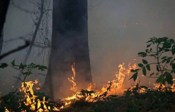 img 05122025 152106 (720 x 576 pixel)