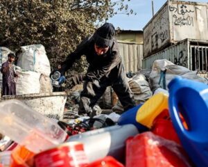 IMG 08122025 170205 720 x 576 pixel