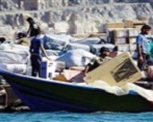 IMG 19122025 174458 720 x 576 pixel