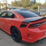 IMG 19122025 175356 720 x 576 pixel