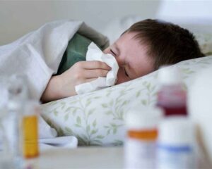 IMG 20122025 190626 720 x 576 pixel