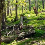 IMG 22122025 194040 720 x 576 pixel