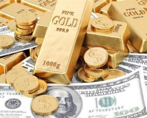 IMG 24122025 205417 720 x 576 pixel