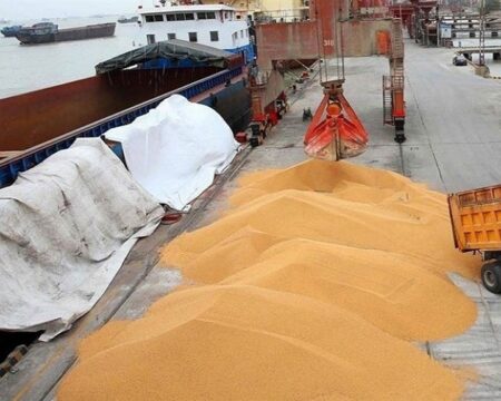 IMG 27122025 191804 720 x 576 pixel