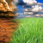 IMG 04012026 191749 720 x 576 pixel