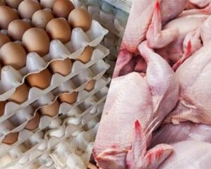 IMG 06022026 205215 720 x 576 pixel