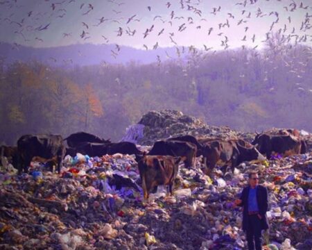 IMG 17022026 185533 720 x 576 pixel