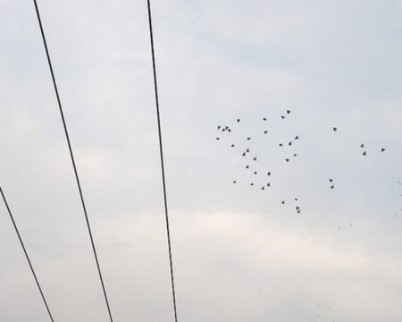 IMG 19022026 185306 720 x 576 pixel