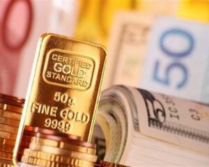 IMG 21022026 193152 720 x 576 pixel