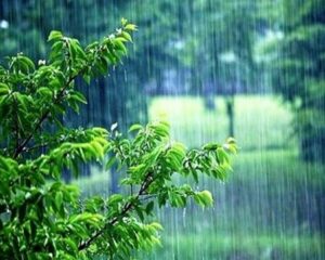 IMG 12092026 191317 720 x 576 pixel 1